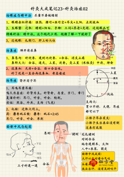 倪海厦针灸大成笔记无水印版3.8元第3张-秘方堂