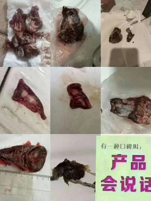 微信图片_20230321154931.jpg
